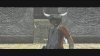 Купить игру ICO and Shadow of the Colossus Collection с поддержкой 3D (PS3) для Sony Playstation 3