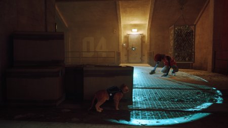 Игра Stray Русская Версия (PS4/PS5) Playstation 4