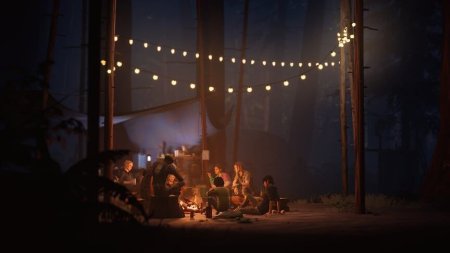 Игра Life is Strange 2 Коллекционное издание (Collector’s Edition) Русская Версия (PS4) Playstation 4