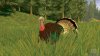 Cabela's Trophy Bucks (Xbox 360)