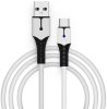     2  USB Type-C (GP5-1619) (PS5/Xbox One/Series X/S/Switch)