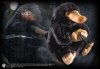  Мягкая игрушка The Noble Collection: Нюхлер (Niffler) Фантастические Твари и Где Они Обитают (Fantastic Beasts and Where to Find Them) (Со звуком) 23 см