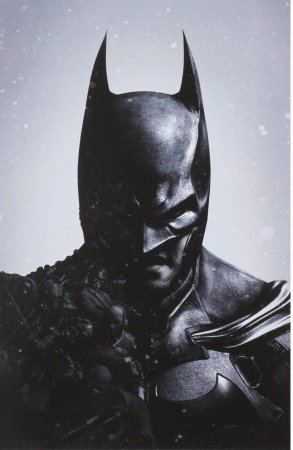   Batman: Arkham Origins. Strategy Guide (Limited Edition) (PS3)  Sony Playstation 3