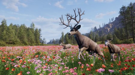 Way of the Hunter 2 Русская Версия (PS5)
