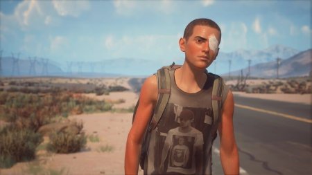 Игра Life is Strange 2 Коллекционное издание (Collector’s Edition) Русская Версия (PS4) Playstation 4