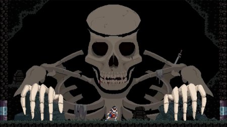 игра Chronicles of 2 Heroes: Amaterasu's Wrath Коллекционное издание (Collector's Edition) Русская Версия (Switch) для Nintendo Switch