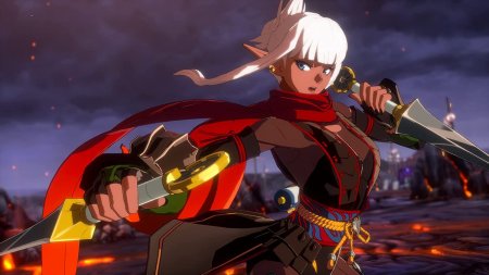 игра DNF Duel Whos Next (Switch) для Nintendo Switch