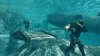 Lost Planet 2 (Xbox 360/Xbox One)