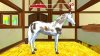 Игра Bibi and Tina: New Adventures with Horses (PS4) Playstation 4