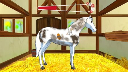  Bibi and Tina: New Adventures with Horses (PS4) Playstation 4