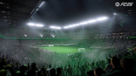 EA SPORTS FC 25 (FIFA 25) (PS5)