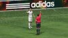 2010 FIFA World Cup South Africa (Xbox 360)