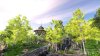 Blackwood Crossing Box (PC) 