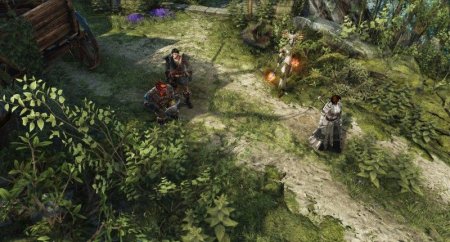  Divinity: Original Sin 2 (II)   (PS4) Playstation 4