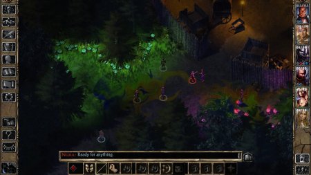 Baldur's Gate 2 (II): Enhanced Edition (PC) 