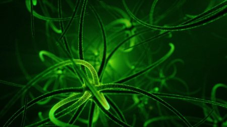 Игра Dark Nights with Poe and Munro (Limited Run #441) (PS4) Playstation 4