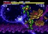 Коллекционный сборник 2 в 1 Черепашки Ниндзя (Ninja Turtles) (16BC-006) Русская Версия (16 bit) 