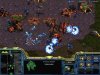StarCraft + StarCraft: Brood War Box (PC) 
