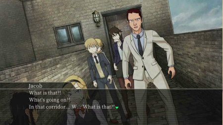 игра Return to Shironagasu Island (Switch) для Nintendo Switch