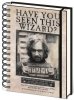 Ежедневник Pyramid: Гарри Поттер (Harry Potter) Разыскивается Сириус Блэк (Wanted Sirius Black) (Wiro Notebooks SR72252) A5
