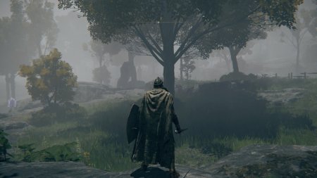 Elden Ring Русская Версия (без кода на дополнение) (PS5)