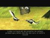 Open Season (Сезон Охоты) (PS2) USED Б/У