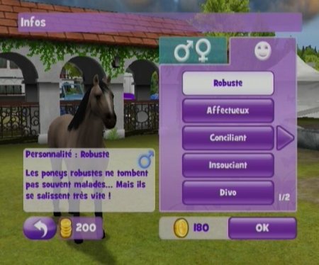 Pony Friends 2 Jewel (PC) 