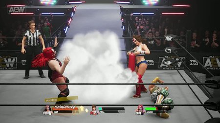 Игра AEW: Fight Forever (PS4/PS5) Playstation 4