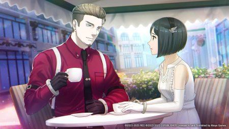 игра Despera Drops (Switch) для Nintendo Switch