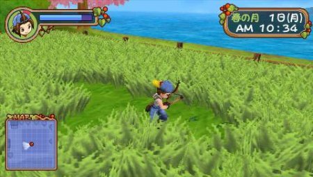  Harvest Moon: Hero of Leaf Valley (PSP) 