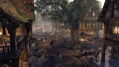 Игра The Elder Scrolls Online: Blackwood Collection (PS4) Playstation 4