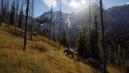 Way of the Hunter   (PS5)