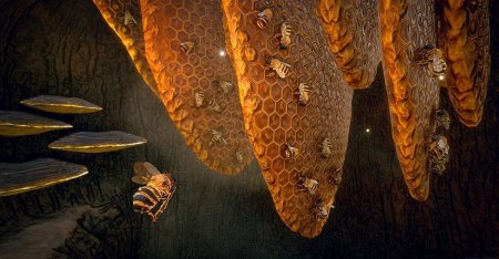 Bee Simulator Русская Версия (Xbox One) 