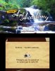 Купить игру New Art Academy Русская Версия (Nintendo 3DS) на 3DS