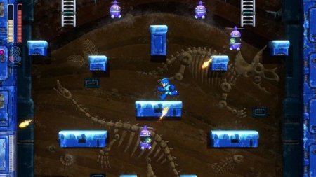  Mega man: 11 Collector's Edition (PS4) Playstation 4