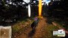 Игра Windstorm: Start of a Great Friendship (PS4) Playstation 4