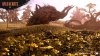 Wild Hearts (PS5)