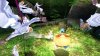 Купить игру One Piece: Unlimited Cruise SP Limited Edition (Nintendo 3DS) на 3DS