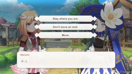 игра Elrentaros Wanderings (Switch) для Nintendo Switch