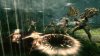 Blades of Time Русская Версия (Xbox 360)