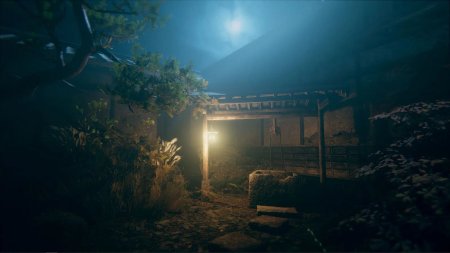 игра Hollow Cocoon Русская Версия (Switch) для Nintendo Switch