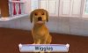 Купить игру Cats and Dogs 3D Pets at play (Nintendo 3DS) на 3DS