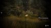 Игра Hunting Simulator 2 Русская Версия (PS4) Playstation 4