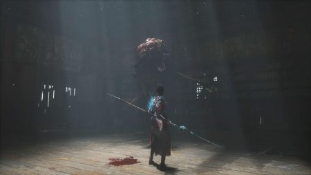 Wuchang: Fallen Feathers Русская Версия (PS5)