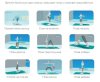 Купить игру Wii Fit Plus (Wii/WiiU) USED Б/У на Nintendo Wii диск