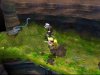 Disney / Pixar Вверх! (Up) (PS2) USED Б/У