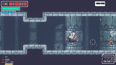 игра Dungreed (Switch) для Nintendo Switch