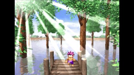 игра Tomba! Специальное Делюкс Издание (Special Deluxe Edition) (Limited Run #245) (Switch) для Nintendo Switch