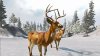 Cabela's Trophy Bucks (Xbox 360)
