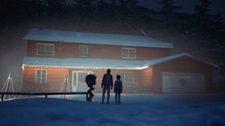 Игра Life is Strange 2 Коллекционное издание (Collector’s Edition) Русская Версия (PS4) Playstation 4